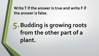 WriteT if the answer is true and write F if
the answer is false.
5.Budding is growing roots
from the other part of a
plant.
 