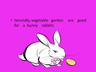 Secondly, vegetable   garden     are    good    for    a  bunny    rabbits.