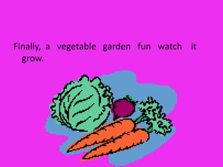 Finally,  a   vegetable   garden   fun   watch    it    grow.