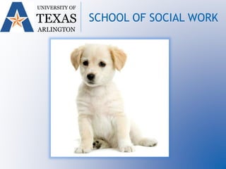 UNIVERSITY OF
TEXAS
ARLINGTON
SCHOOL OF SOCIAL WORK
 