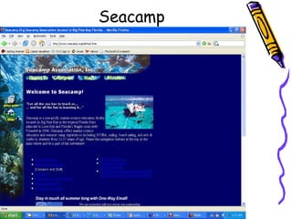 Seacamp 