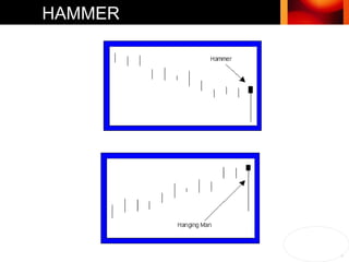 HAMMER 