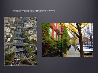 Where would you rather live? Why?
 