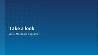 Apex Metadata Container
 