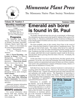 Minnesota Plant Press
                                  The Minnesota Native Plant Society Newsletter


Volume 28 Number 3                                                                              Summer 2009
 Monthly meetings
  Thompson Park Center/Dakota           Emerald ash borer
                                        is found in St. Paul
             Lodge
     Thompson County Park
       360 Butler Ave. E.,
    West St. Paul, MN 55118             by Gerry Drewry
     651-552-7559 (kitchen)
                                            The deadly emerald ash borer has arrived, as anticipated, in Minnesota.
         Programs                       The infestation was discovered in the South St. Anthony Park section of St.
   The Minnesota Native Plant           Paul on May 13. The borer could kill all varieties of ash trees in Minnesota.
Society meets the first Thursday        It has already killed 30 million ash trees since it was discovered in Detroit
in October, November, December,         in the early 1990s.
February, March, April, May, and           The borer probably came to this country from China in the wood of
June. Check at www.mnnps.org            crates. It has now been found in 13 states and two Canadian provinces. The
for more program information.           tiny eggs are laid in bark cracks. The creamy white larvae live under the
   6 p.m. — Social period               bark for one or two years; the adult emerald-green beetles emerge in mid-
   7 – 9 p.m. — Program, Society        June. Symptoms may take several years to show. They include die-back of
business                                the canopy, split bark that reveals serpentine tunnels made by the larvae,
   Oct. 1: “Forest Warming — an         and epicormic shoots growing from the trunk of the tree. Eventually, the
Ecotone in Danger” by Rebecca           infected trees die.
Montgomery,        University      of      At this time there is no way to stop the borers, but their spread can be
Minnesota Department of Forestry        contained. To do this, ash wood and trimmings from both Hennepin and
Resources. Plant-of-the-Month:          Ramsey counties are quarantined and cannot be taken out of those counties.
Quercus macrocarpa, bur oak.            Ash wood is also quarantined in a portion of Houston County, which is 15
   Nov. 5:   “Decorative Tree           miles from an infestation in Victory, Wis.
Harvesting from Minnesota’s
Spruce       Bogs,”      by     Norm Individual trees may be given a chemical treatment in mid-autumn or
Aaseng,       Minnesota           in spring, before the adults emerge. However, the annual cost is typically
                              County
                                  $50 to $200 per tree. Experts recommend removing small infected trees
Biological Survey  plant ecologist.
Seed exchange.                    and replanting with another species. The Department of Agriculture is
                                  using purple sticky traps to monitor the beetles. Their natural predators
   Dec. 3:  “Salvage Logging in
                                  in Asia are three forms of parasitic wasps, which are being studied by the
St. Croix State Park: Restoring

                                                                                 In this issue
                                  U.S. Department of Agriculture’s
a Rare Community,” by Gretchen    Agricultural Research Service
Heaser, St. Croix State Park resource
specialist.                          Information is available on           President’s column ...................2
                                  the Internet. Go to the Minnesota        Board of directors ....................2
   Additional program information Department of Agriculture website
will be on the Society’s website.                                          Book review.............................3
                                  at www.mda.state.mn.us or call its       Sioux Community floral atlas ..3
                                  Arrest the Pest Hotline at 651-201-
MNNPS website
                                                                           Beltrami Island Area history ...4
                                  6684 or 888-545-6684. For detailed       Roseau wildlife drive ......5
   For current information about information on treatment options,         Botany of Charles Geyer ......6
Society field trips, meetings and go to the University of Minnesota        Plant Lore: fringed gentian.......7
other events, check the website: Extension website at extension.           New members .......................7
www.mnnps.org                     umn.edu/issues/eab/
 
