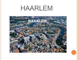 HAARLEM
 