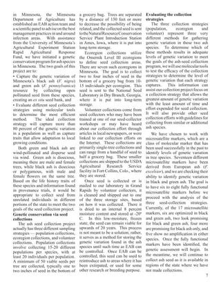 in Minnesota, the Minnesota                a grocery bag. Trees are separated        Evaluating the collection
Department of Agriculture has              by a distance of 150 feet or more         strategies
established an EAB action team and         to decrease the possibility of being         The three collection strategies
a scientific panel to advise on the best   related, and the collected seed is sent   (population,       ecoregion      and
management practices in and around         to the Natural Resource Conservation      volunteer) represent three very
infection areas. With assistance           Service Plant Introduction Station        different methods for gathering
from the University of Minnesota’s         in Ames, Iowa, where it is put into       genetic variation in these two ash
Agricultural Experiment Station            long-term storage.                        species. To determine which of
Rapid       Agricultural      Response         Ecoregion collections utilize         these methods results in adequate
Fund, we have initiated a genetic          the Omernik Level III ecoregions          levels of genetic variation to meet
conservation program for ash species       to define seed collection areas.          the goals of the ash-seed collection
in Minnesota. The two goals of this        There are seven such ecoregions in        program, we will use molecular tools
project are to:                            Minnesota. The goal is to collect         to test the efficacy of the collection
• Capture the genetic variation of         two to four inches of seed in the         strategies to determine the level of
Minnesota’s black ash (F. nigra)           bottom of a grocery bag from 10-          genetic variation that each strategy
and green ash (F. pennsylvanica)           15 individuals per ecoregion. This        captures. This information can
resource by collecting open                seed is sent to the National Seed         assist our collection project focus on
pollinated seed from these species,        Laboratory in Dry Branch, Georgia,        a collection strategy that allows the
creating an ex situ seed bank, and         where it is put into long-term            greatest amount of genetic variation
• Evaluate different seed collection       storage.                                  with the least amount of time and
strategies using molecular tools               Volunteer collections come from       effort expended for seed collection.
to determine the most efficient            seed collectors who may have been         It will also provide other seed
method.        The ideal collection        trained at one of our seed-collector      collection efforts with guidelines for
strategy will capture more than            workshops or may have heard               collecting from similar or additional
80 percent of the genetic variation        about our collection effort through       ash species.
in a population as well as capture         articles in local newspapers, or were         We have chosen to work with
traits that allow adaptation to local      linked to our collection efforts on       microsatellite markers, which are a
growing conditions.                        the Internet. These collections are       class of molecular marker that has
    Both green and black ash are           primarily single-tree collections and     been used successfully in the past to
wind-pollinated and disperse seed          can range from a handful of seed to       identify levels of genetic variation
via wind. Green ash is dioecious,          half a grocery bag. These smaller         in tree species. Seventeen different
meaning there are male and female          collections are shipped to the USDA       microsatellite markers have been
trees, while black ash is dioecious        Agricultural Research Service             derived from European ash (F.
or polygamous, with male and               facility in Fort Collins, Colo., where    excelsior), and we are checking their
female flowers on the same tree.           they are stored.                          ability to identify genetic variation
Based on the life history traits of            Once seed is collected or is          in black and green ash. The goal is
these species and information found        mailed to our laboratory in Grand         to have six to eight fully functional
in provenance trials, it would be          Rapids by volunteer collectors, it        microsatellite markers before we
appropriate to collect seed from           is cleaned and shipped out to one
                                                                                     proceed with the analysis of the
unrelated individuals in different         of the three storage sites, based
portions of the state to meet the two      on how it was collected. There it         three seed-collection strategies.
goals of the seed collection project.      is dried to an internal 8 percent         Currently, of the 17 microsatellite
Genetic conservation via seed              moisture content and stored at -200       markers, six are optimized in black
collections                                C. In this low-moisture, frozen           and green ash, two look promising
    The ash seed collection project        state, the seed can remain viable for     for black and green ash, four more
actually has three different sampling      upwards of 20 years. This process         are promising for black ash only, and
strategies — population collections,       is not meant to be a solution; rather,    five show no amplification in either
ecoregion collections, and volunteer       it serves as a method for storing the     species. Once the fully functional
collections. Population collections        genetic variation found in the ash
                                                                                     markers have been identified, the
involve collecting 15-20 different         species until such time as EAB can
                                           be controlled. Once EAB can be            genetic assessment will begin. In
populations per species, with at
least 20 individuals per population.       controlled, this seed can be used to      the meantime, we will continue to
A minimum of 50 viable seeds per           reintroduce ash to areas where it has     collect ash seed as it is available in
tree are collected, typically one to       been extirpated, or used for some         regions of the state where we have
two inches of seed in the bottom of        other research or breeding purpose.       not made collections.
                                                                                                                          7
 