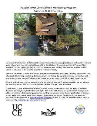 Russian River Coho Salmon Monitoring Program
Summer 2014 Internship

UC Cooperative Extension & California Sea Grant in Santa Rosa is seeking reliable and enthusiastic interns to
assist with summer field work for the Russian River Coho Salmon Broodstock Monitoring Program. This
position supports a multi-agency effort to monitor and evaluate a stocking enhancement program for coho
salmon in tributaries to the lower Russian River in Sonoma County.
Interns will be trained to assist with fish and environmental monitoring techniques, including some or all of the
following: habitat typing, snorkeling, dissolved oxygen monitoring, deploying/downloading temperature and
stream flow gauges, using GPS devices, and maintenance and operation of PIT tag detection equipment.
Summer work will begin the first week of June and run through August. Schedule is flexible, but two full days
per week is preferred. This is a non-compensated position. College credit is available.
Qualifications include an interest in fisheries or natural resource management, and the ability to hike long
distances and carry heavy loads while working full days in the field. If you are a quick learner with a positive
attitude who is interested in gaining experience, building your resume, and networking in the field of fisheries
biology and environmental preservation, this could be the position for you. Please send cover letter and
resume to Sarah Nossaman at snossamanpierce@ucsd.edu by April 28, 2014. For more information, see our
website at: http://ca-sgep.ucsd.edu/russianrivercoho

 