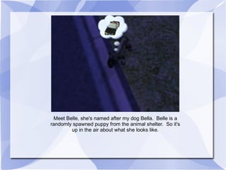 Meet Belle, she's named after my dog Bella.  Belle is a randomly spawned puppy from the animal shelter.  So it's up in the air about what she looks like. 