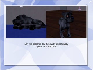 Day two becomes day three with a bit of puppy spam.  Isn't she cute. 