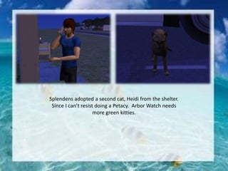 Splendens adopted a second cat, Heidi from the shelter.
Since I can’t resist doing a Petacy. Arbor Watch needs
more green kitties.
 