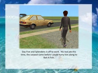 Day Five and Splendens is off to work. His real job this
time, the carpool came before I could hurry him along to
Bait A Fish.
 