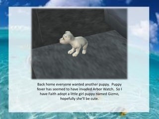 Back home everyone wanted another puppy. Puppy
fever has seemed to have invaded Arbor Watch. So I
have Faith adopt a little girl puppy named Gizmo,
hopefully she’ll be cute.
 