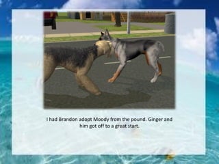 I had Brandon adopt Moody from the pound. Ginger and
him got off to a great start.
 