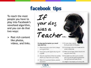 To reach the most
people you have to
play into Facebook’s
newsfeed algorithm,
and you can do that
two ways:
 Post rich content
like photos,
videos, and links.
 