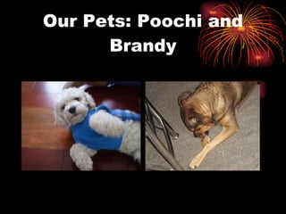 Our Pets: Poochi and Brandy 