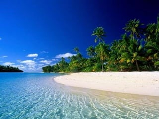 Summer breeze