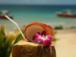 Summer breeze
