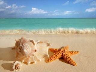 Summer breeze