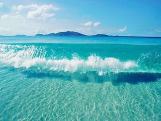 Summer breeze