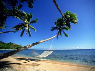 Summer breeze