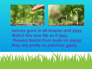 RHYMING WORDS IN READING ENGLISH WORDS FOR KIDS | PPTX