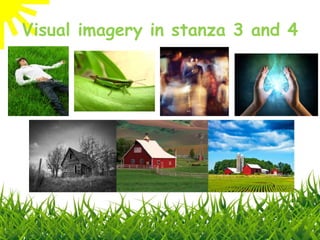 Visual imagery in stanza 3 and 4 
 