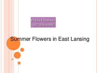 Summer Flowers in East Lansing
 