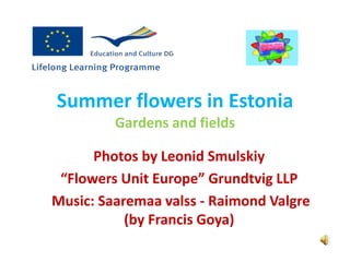 Summer flowers in Estonia
Gardens and fields
Photos by Leonid Smulskiy
“Flowers Unit Europe” Grundtvig LLP
Music: Saaremaa valss - Raimond Valgre
(by Francis Goya)
 