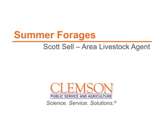 Summer Forages
Scott Sell – Area Livestock Agent

Science. Service. Solutions.©

 