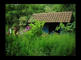 Summer Gardens 2008 From Booker