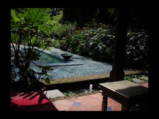 Summer Gardens 2008 From Booker