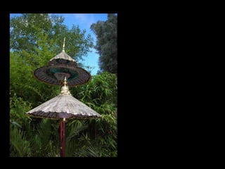 Summer Gardens 2008 From Booker