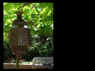 Summer Gardens 2008 From Booker