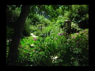 Summer Gardens 2008 From Booker