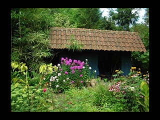 Summer Gardens 2008 From Booker