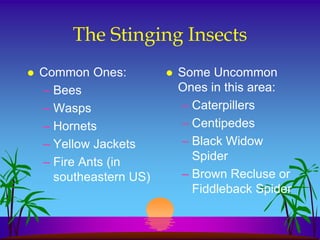 The Stinging Insects
   Common Ones:            Some Uncommon
    – Bees                   Ones in this area:
    – Wasps                  – Caterpillers
    – Hornets                – Centipedes
    – Yellow Jackets         – Black Widow
    – Fire Ants (in            Spider
      southeastern US)       – Brown Recluse or
                               Fiddleback Spider
 