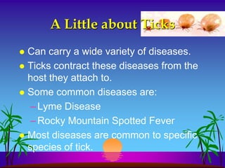A Little about Ticks
 Can carry a wide variety of diseases.
 Ticks contract these diseases from the
  host they attach to.
 Some common diseases are:
   – Lyme Disease
   – Rocky Mountain Spotted Fever
 Most diseases are common to specific
  species of tick.
 
