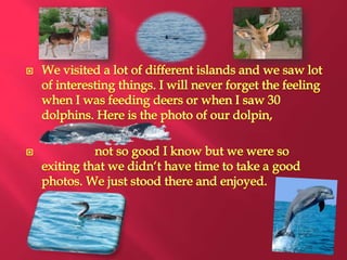 Summer holidays Lara Dobrec