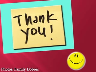 Summer holidays Lara Dobrec