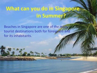 What can you do in Singapore
in Summer?
Beaches in Singapore are one of the main
tourist destinations both for foreigners and
for its inhabitants.
 