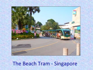 The Beach Tram - Singapore
 