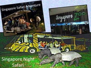 Singapore Safari Adventure
Singapore Night
Safari
 
