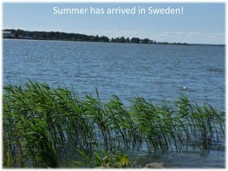 Summer has arrived in Sweden! 