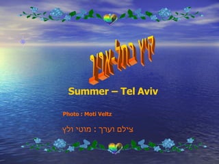   קיץ בתל-אביב צילם וערך  :  מוטי ולץ Summer – Tel Aviv Photo : Moti Veltz   