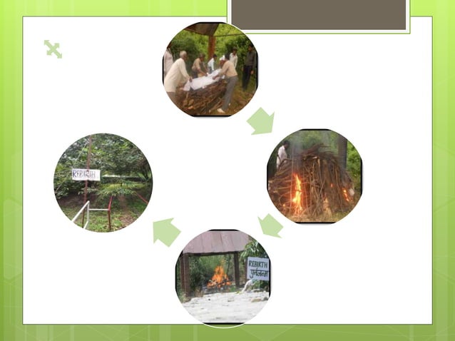 AMU SOCIAL WORK AND HESCO INTERNSHIP PPT