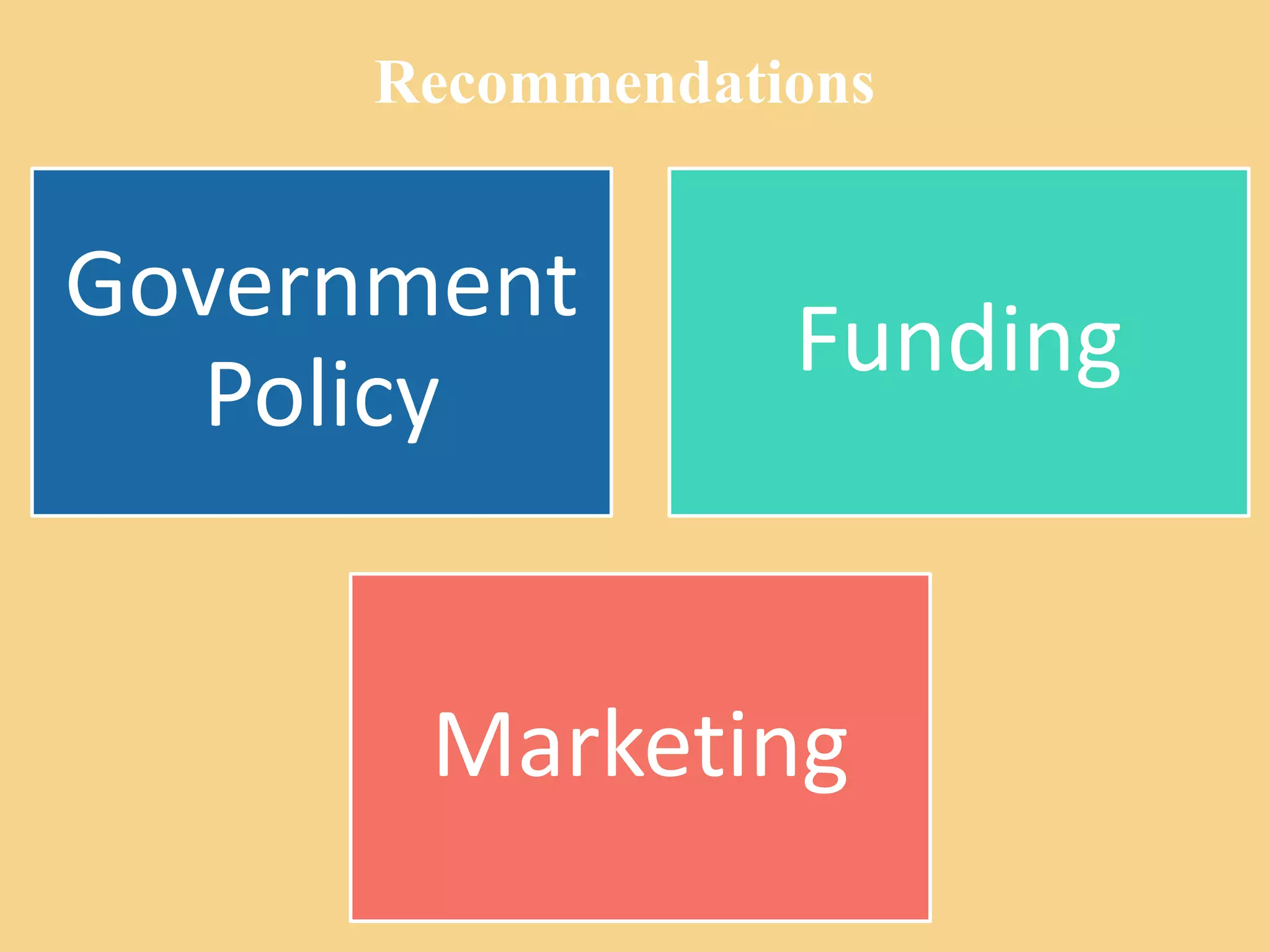 Recommendations
Government
Policy
Funding
Marketing
 