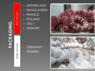 REDCOLOURWHITECOLOUR
 NETHERLAND
 BANGLADESH
 FRANCE
 POLAND
 ITALY
 HUNGRY
 GERMANY
 NIGERIA
50
 
