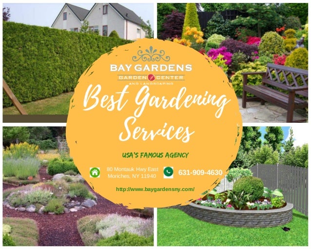 Get Bay Gardens Services At Reasonable Price For Gardening