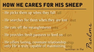 HOW HE CARES FOR HIS SHEEP
- He picks them up when they fall
- He searches for them when they are lost
- He cuts off the entanglements
- He provides fresh pastures to feed on
- He offers lasting, covenant relationship
only He is truly capable of maintaining
 